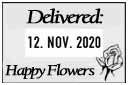 Rubber stamp plate Colop Expert Line Data 3360 - preview