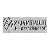 Rubber stamp plate - Trodat 5205